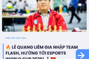tin tức