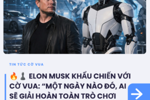 tin tức (11)