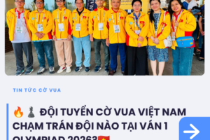 tin tức (13)